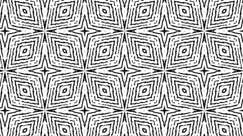Abstract background animation of digital black and white lines pattern. Stock Footage 170717843