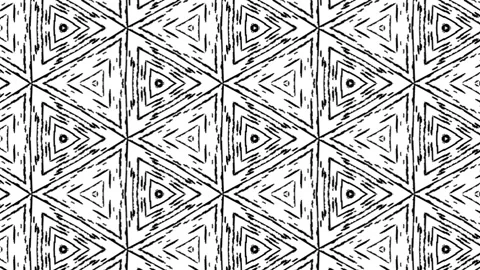 Abstract background animation of digital black and white lines pattern. Stock Footage 170717882