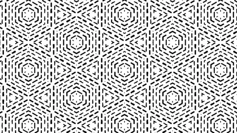 Abstract background animation of digital black and white lines pattern. Stock Footage 170717899