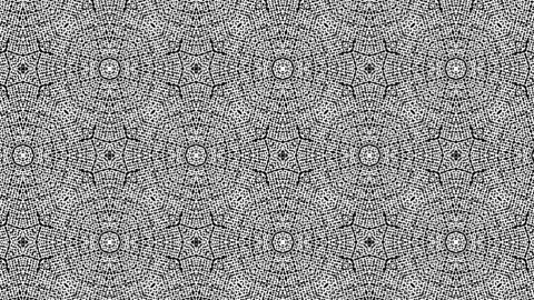Abstract background animation of digital black and white lines pattern. Stock Footage 170717908