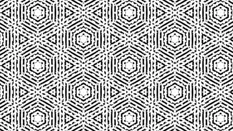 Abstract background animation of digital black and white lines pattern. Stock Footage 170717942