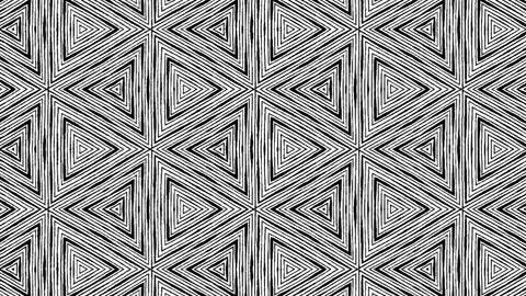 Abstract background animation of digital black and white lines pattern. Stock Footage 170717972