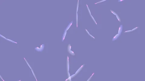 Abstract Background Animation of Flowing Purple and Pink Organic Shapes Vídeo Stock 334953241
