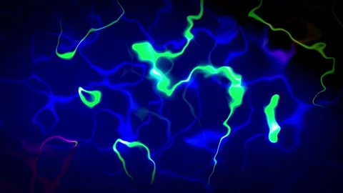 Abstract Background Animation Stock Footage 262635590