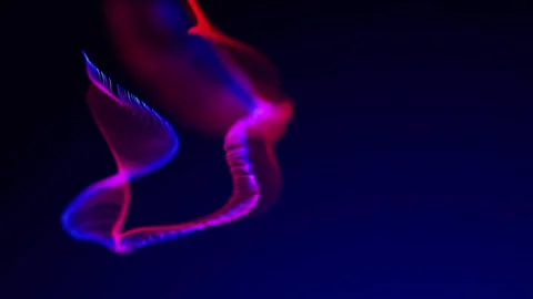 Abstract Background Animation Stock Footage 263409729