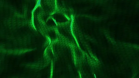 Abstract background animation Stock Footage 263409830