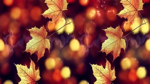 Abstract Background Autumn Leaves Stock Footage 215423219
