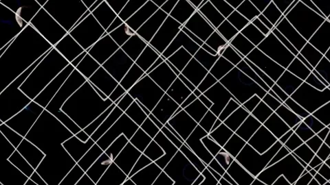 Abstract background. Background art. Background for meditation Vídeos de archivo 305902160