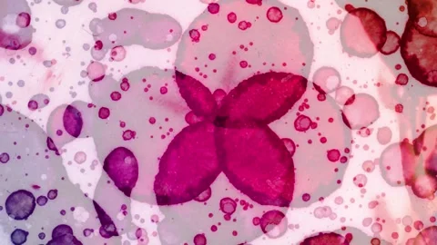 Abstract background. Background art. Background for meditation Vídeos de archivo 305902387