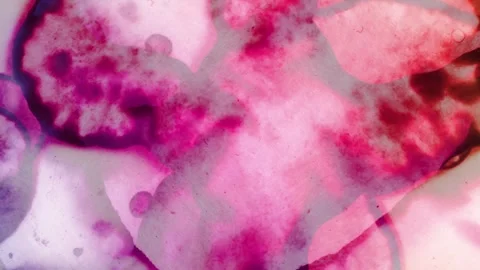 Abstract background. Background art. Background for meditation Vídeos de archivo 305902390