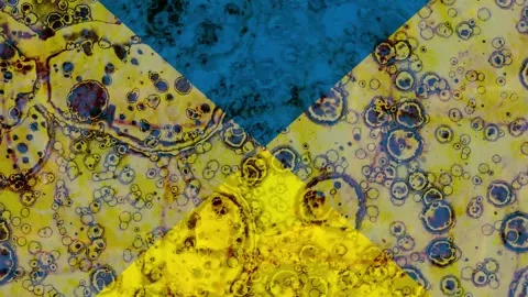 Abstract background. Background art. Background for meditation Vídeos de archivo 305902449