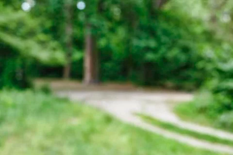 Abstract background background blur. background blurred image of a summer for 写真素材