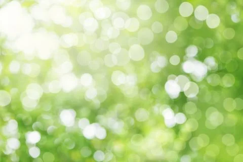 Abstract background. background blur natural and light background in the park Stock Photos