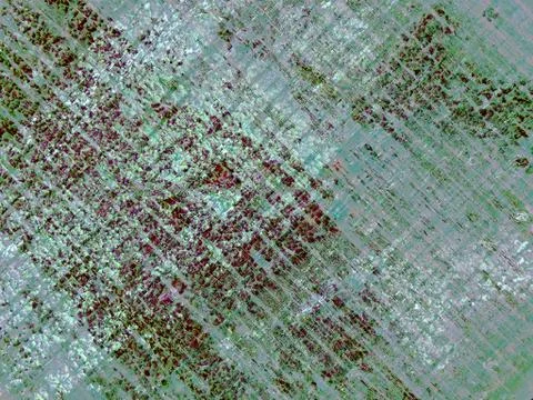 Abstract background on the basis of texture shabby paint Stock Illustration