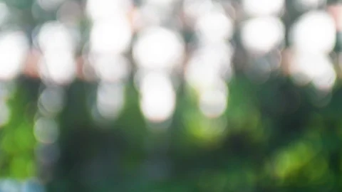 Abstract background of beautiful bokeh reflection in a park Stock Footage 106947717