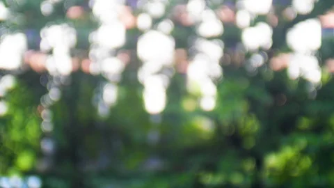 Abstract background of beautiful bokeh reflection in a park Video stock 106948036