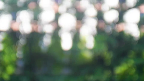 Abstract background of beautiful bokeh reflection in a park Stock-Footage 106948518