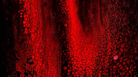 Abstract background of beautiful colorful unique liquid marble movement. 4K Stock Footage 208948826