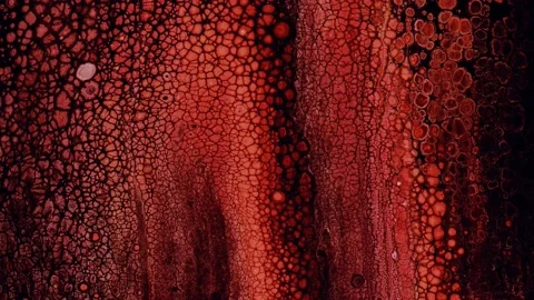 Abstract background of beautiful colorful unique liquid marble movement. 4K Stock Footage 208949733