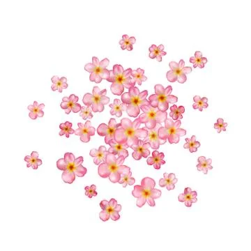 Abstract background with beautiful pink cherry blossom. Stock Illustration