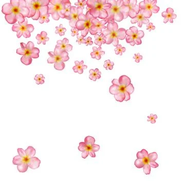 Abstract background with beautiful pink cherry blossom. Illustrazione stock
