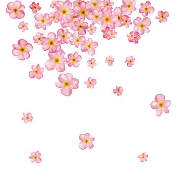 Abstract background with beautiful pink cherry blossom. Stock Illustration
