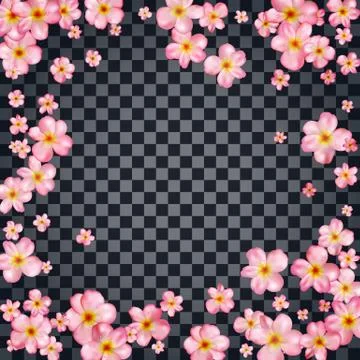 Abstract background with beautiful pink cherry blossom. Stock Illustration