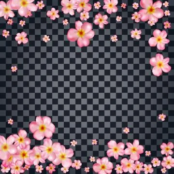Abstract background with beautiful pink cherry blossom. Stock Illustration