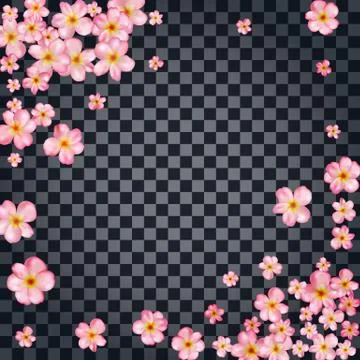 Abstract background with beautiful pink cherry blossom. Stock Illustration