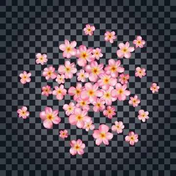 Abstract background with beautiful pink cherry blossom. Stock Illustration
