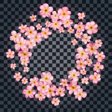 Abstract background with beautiful pink cherry blossom. Stock Illustration