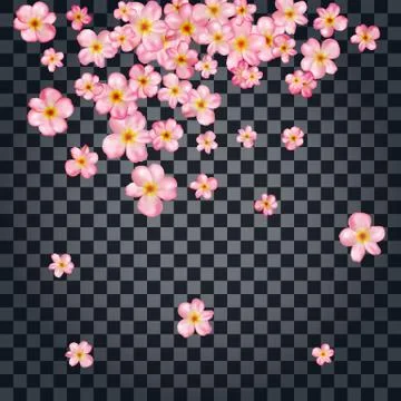 Abstract background with beautiful pink cherry blossom. Stock Illustration
