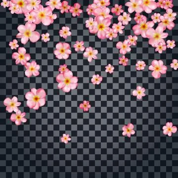 Abstract background with beautiful pink cherry blossom. Stock Illustration