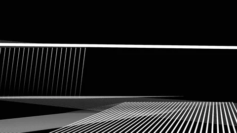 Abstract Background Black And White Geometric Lines 39 Stock Footage 132065472