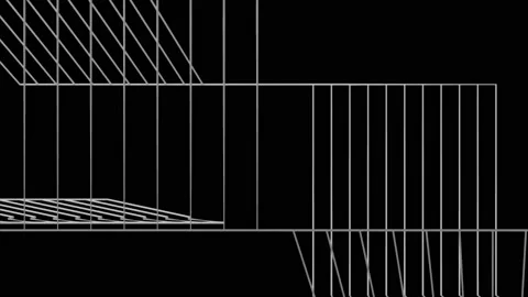 Abstract Background Black And White Geometric Lines 43 Vídeos de archivo 132066779