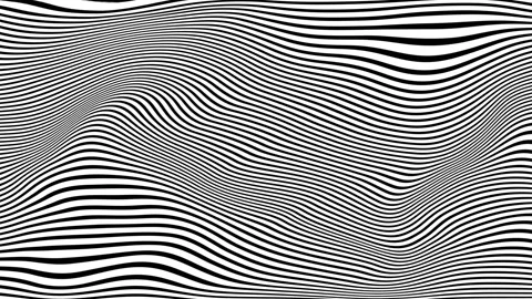 Abstract background of black and white lines resembling zebra skin waving Stock Footage