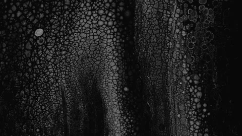 Abstract background of black and white liquid marble movement. 4K Stock Footage 208949695