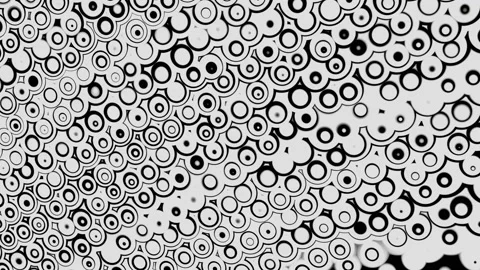Abstract  background with black and white circles. Stock Footage 239454091