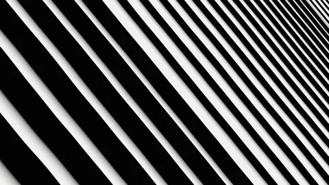 Abstract background with black and white lines. High quality 4k footage Stock Footage 255975588