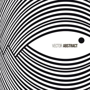 Abstract background. Black and white curve lines with frame for message. Stock Illustration