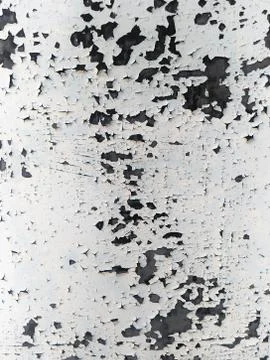 Abstract background black and white craquelure old oil paint Stock Photos