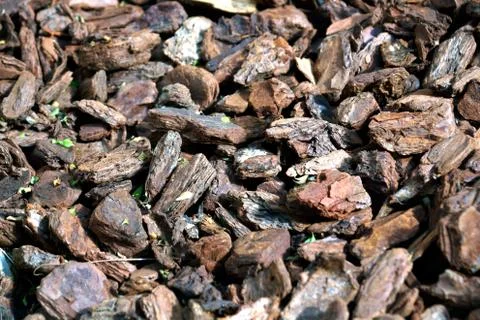 Abstract background - black dry round reeble stones in the zen garden Stock Photos