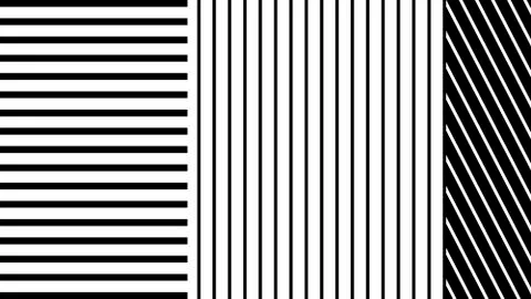 Abstract background of black lines of different thickness Stock Illustration