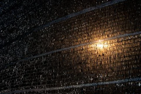 Abstract background. Black texture and sunlight background. Stock Photos