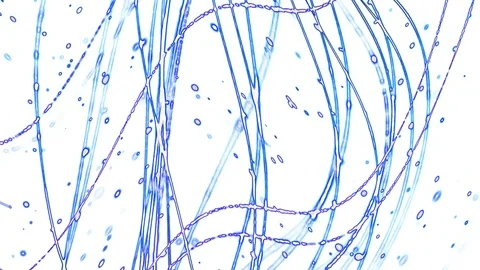 Abstract background of blue curves on a white background Stock Footage 127123722