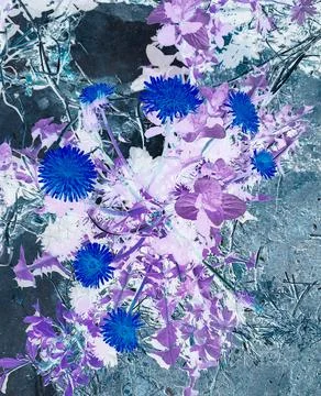 Abstract background with blue flowers. Stock Illustration
