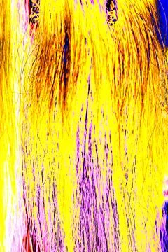 Abstract background with blue, yellow, orange and purple colors, horsehair,.. Stock Illustration