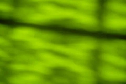 Abstract background, blur background, glitter, bokeh ,lights green 스톡 일러스트