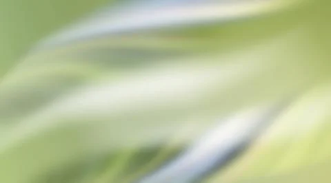 Abstract background blurred and striped wave Stock Illustration