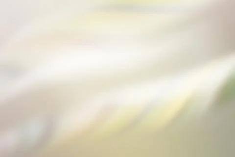 Abstract background blurred and striped wave Stock Illustration